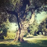 Massaro Pietro