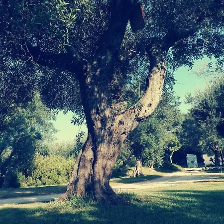 Massaro Pietro Alojamento de Turismo Rural Otranto