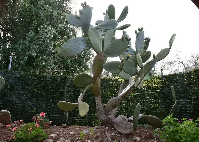 Massaro Pietro Alojamento de Turismo Rural *