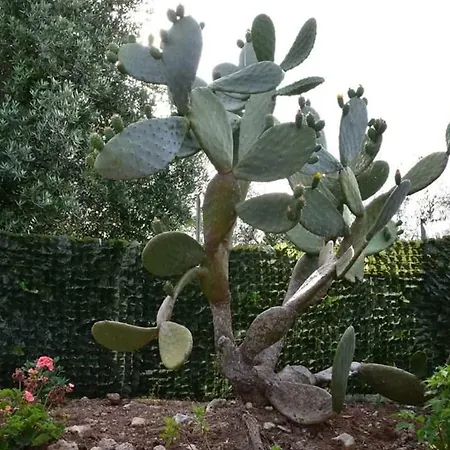 Massaro Pietro Farmház *