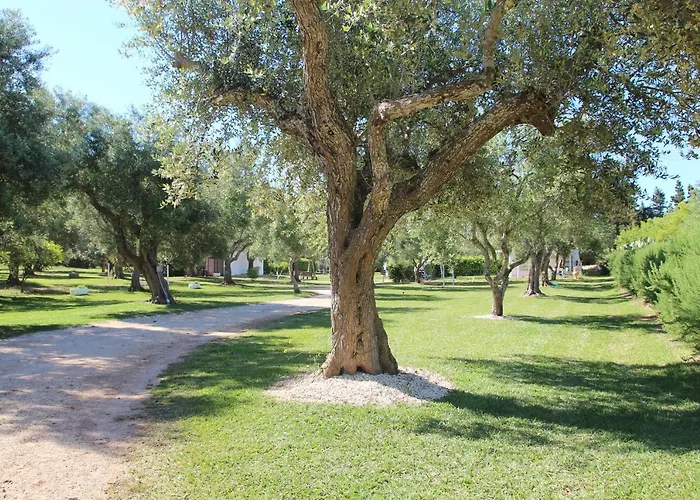 Farm stay Massaro Pietro