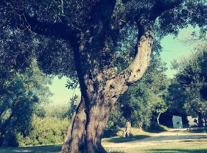 Massaro Pietro Farm stay Otranto